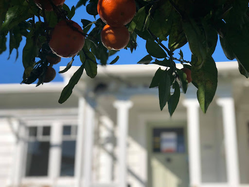 Te Whai Community Trust Mangawhai