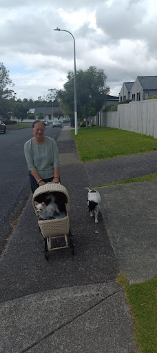 The hope center Kelston