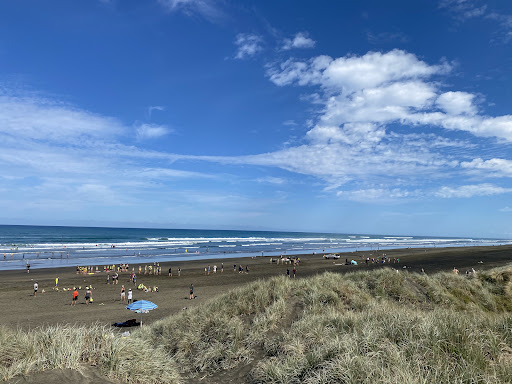 Muriwai Beach