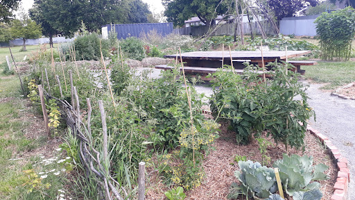 Roimata Food Commons