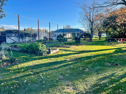Nourish Community Garden - Darfield