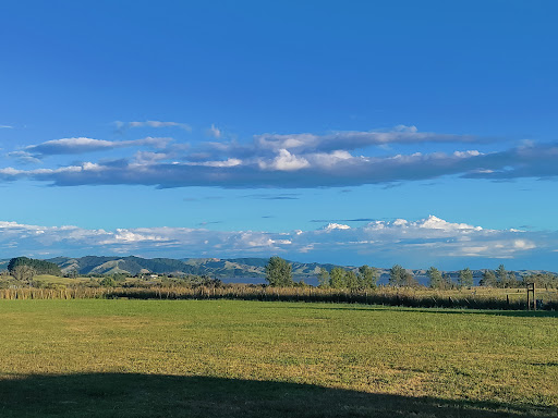Camping Te Kauwhata