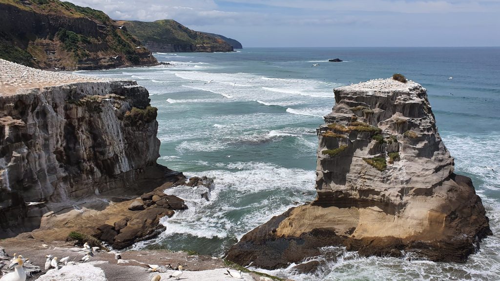 Muriwai Beach 1 muriwai beach