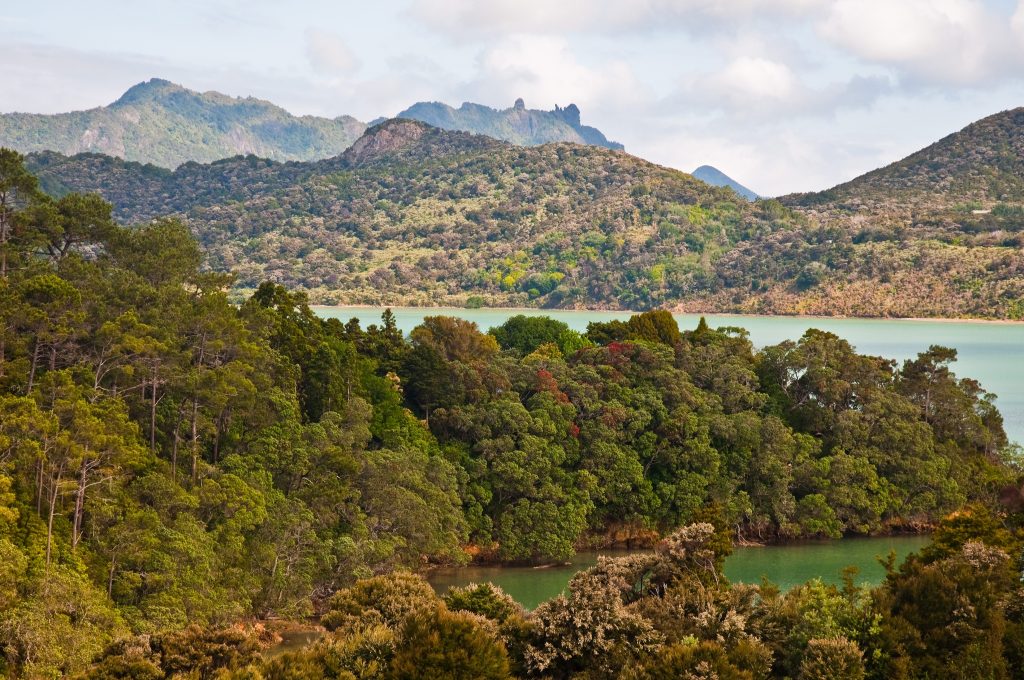 Northland 1 northland