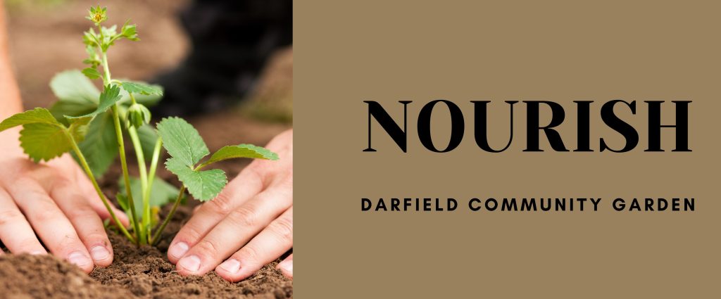 nourish community garden darfield 1