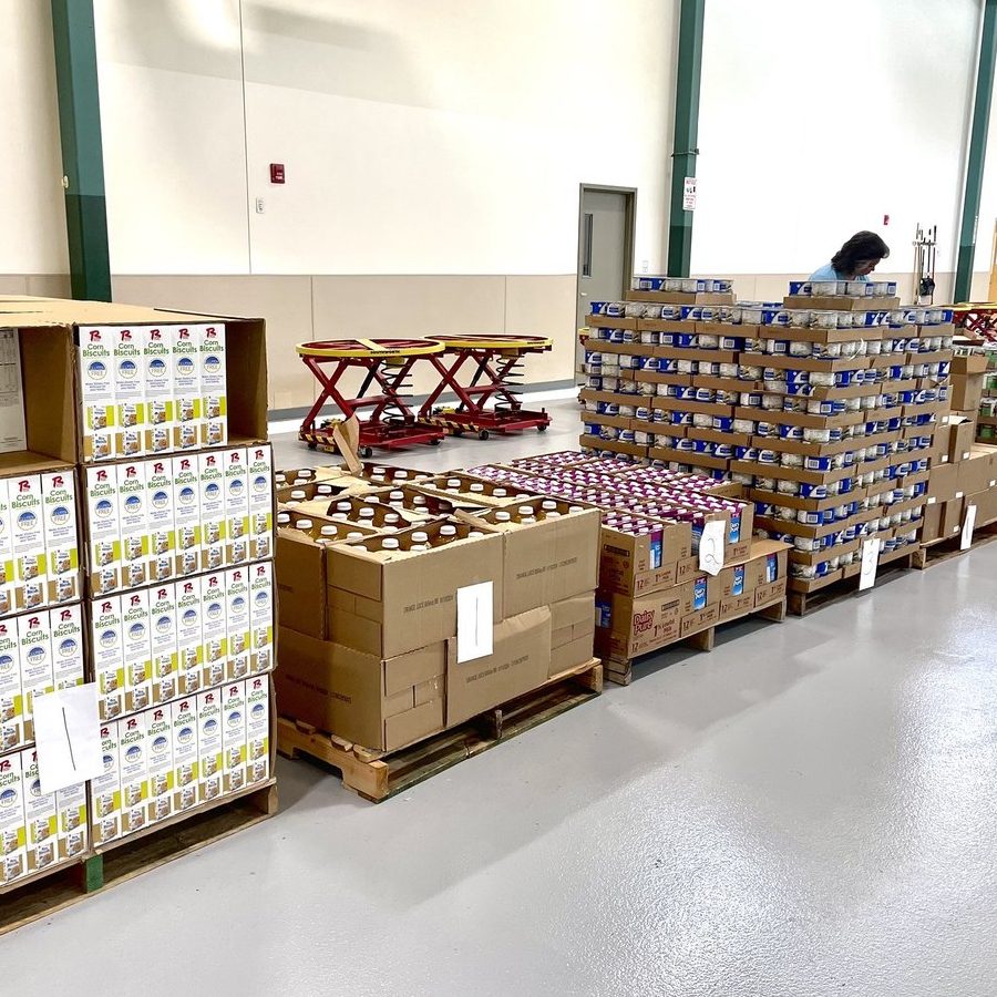 The Best Food Bank in Papatowai 1 the best food bank in papatowai